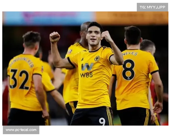 天体预测：维拉1-0诺丁汉森林，狼队1-0西汉姆联